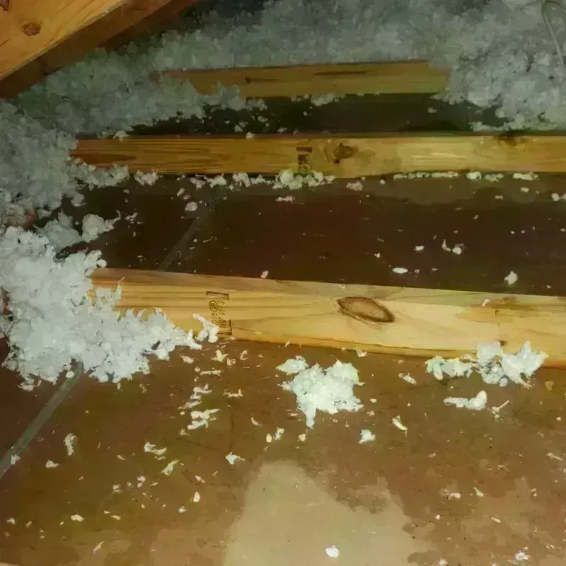 Attic Water Damage in Ray City, GA