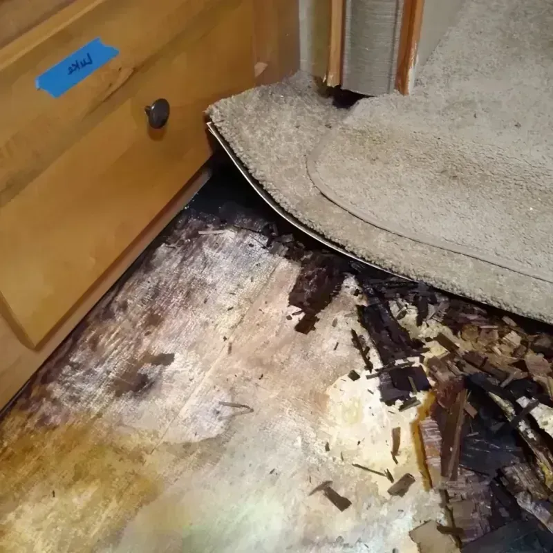 Wood Floor Water Damage in Ray City, GA